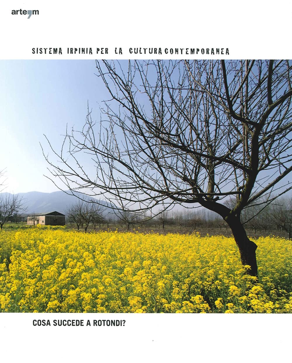 Sistema Irpinia Per La Cultura Contemporanea. Cosa Succede a Rotondi? La Valle Caudina Come Punto Magnetico Dell'arte Contemporanea in Campania Film, Art & Culture