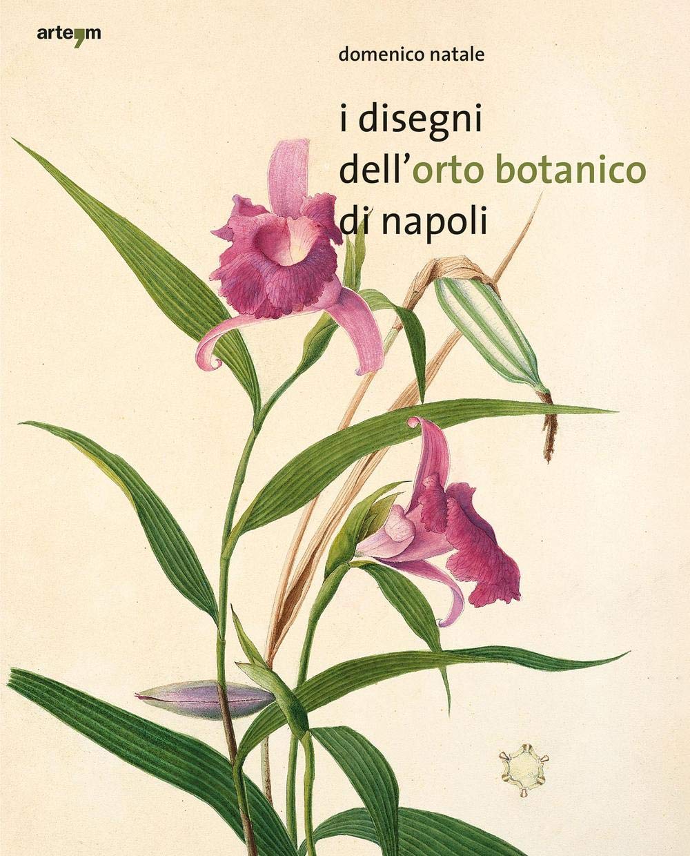 I disegni dell'orto botanico di Napoli. Ediz. illustrata book