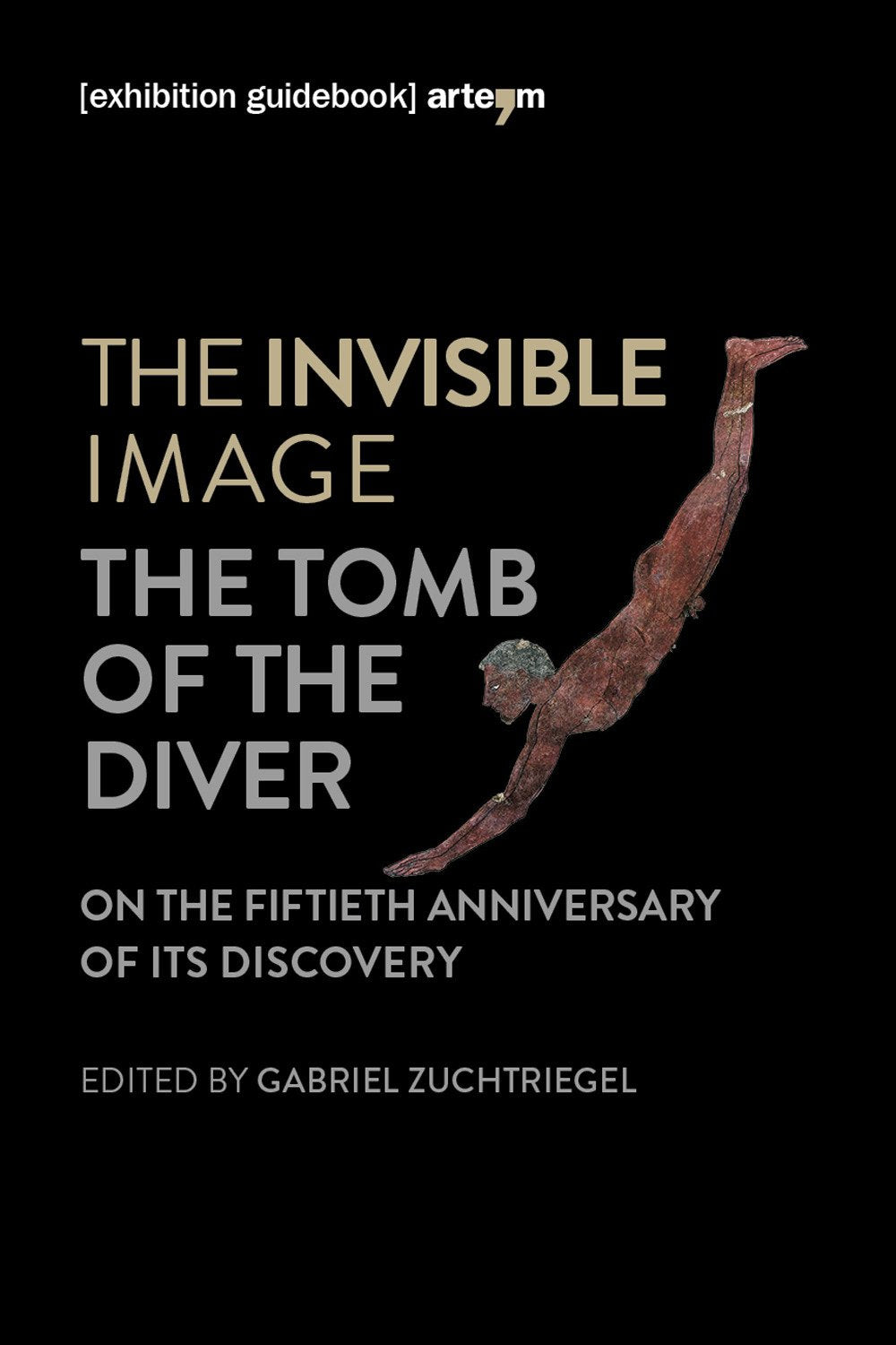 The invisible image. The tomb of the diver. Catalogo della mostra (Paestum, 3 giugno-7 ottobre 2018) (Storia e civiltà) Natural Sciences