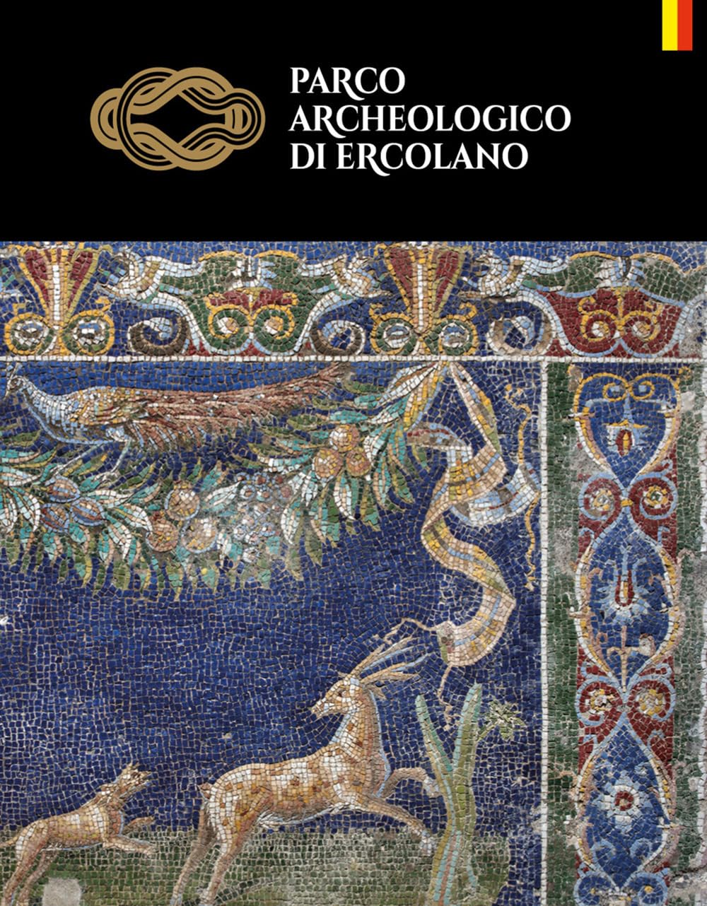 Parco archeologico di Ercolano. Ediz. tedesca book