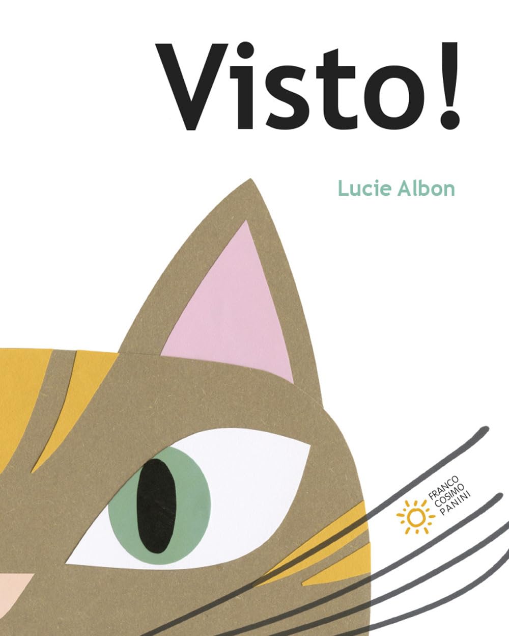 Visto! Ediz. a colori book