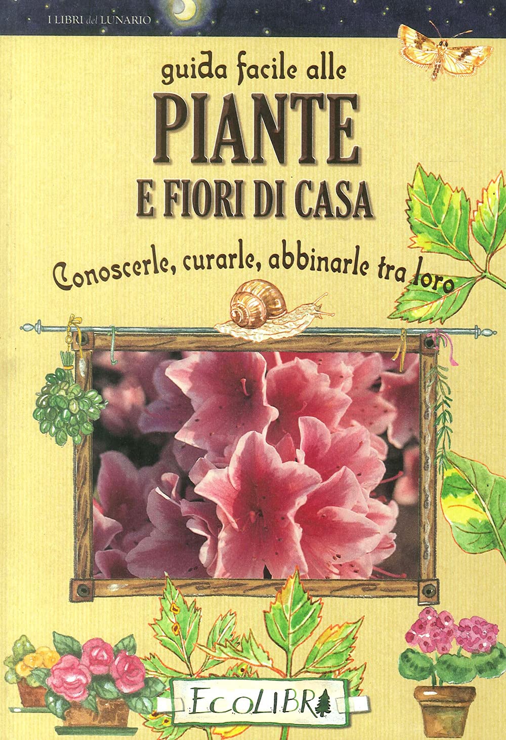 Guida facile alle piante e fiori di casa. Conoscerle, curarle, abbinarle tra loro book