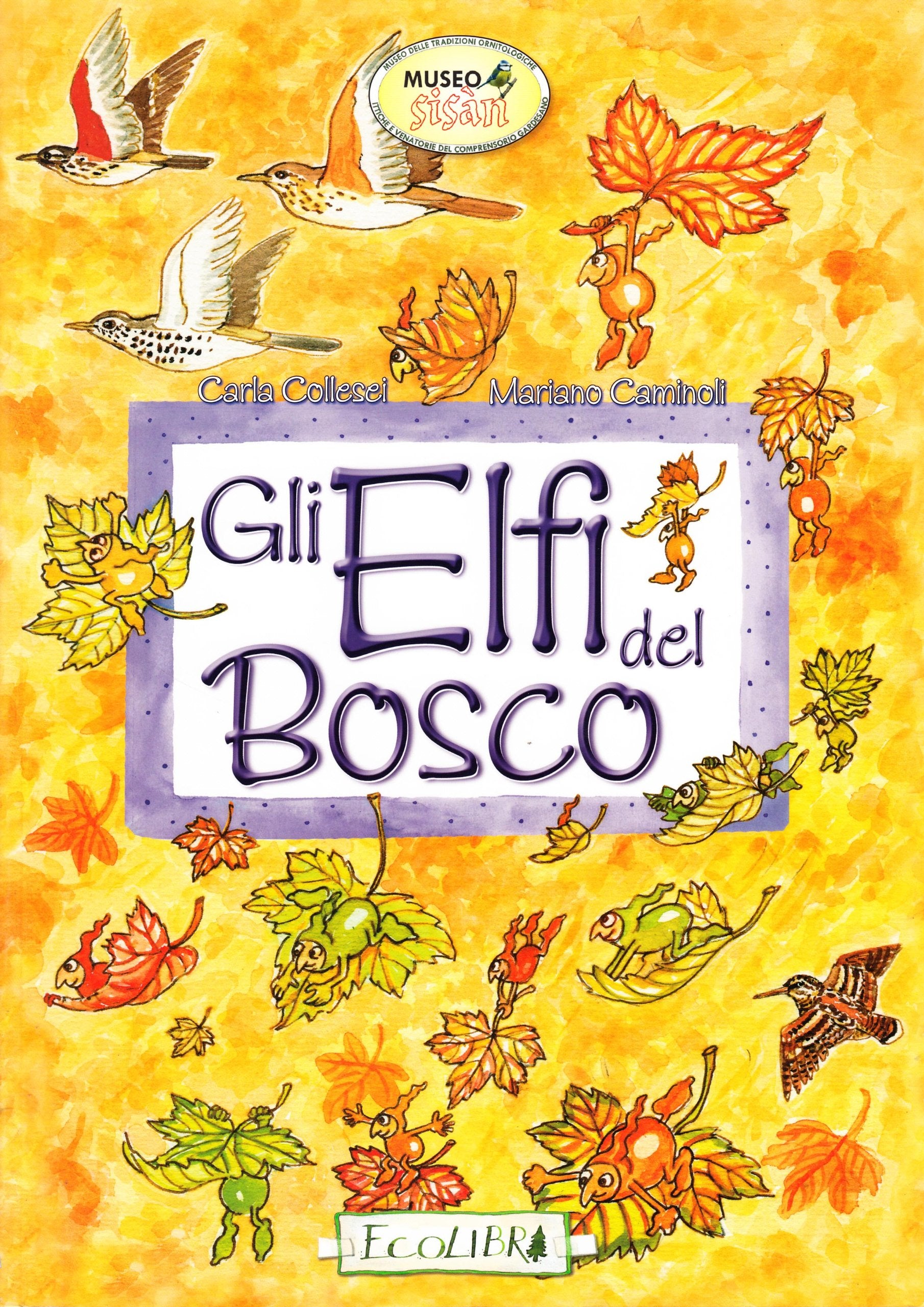 Gli elfi del bosco. Ediz. illustrata book