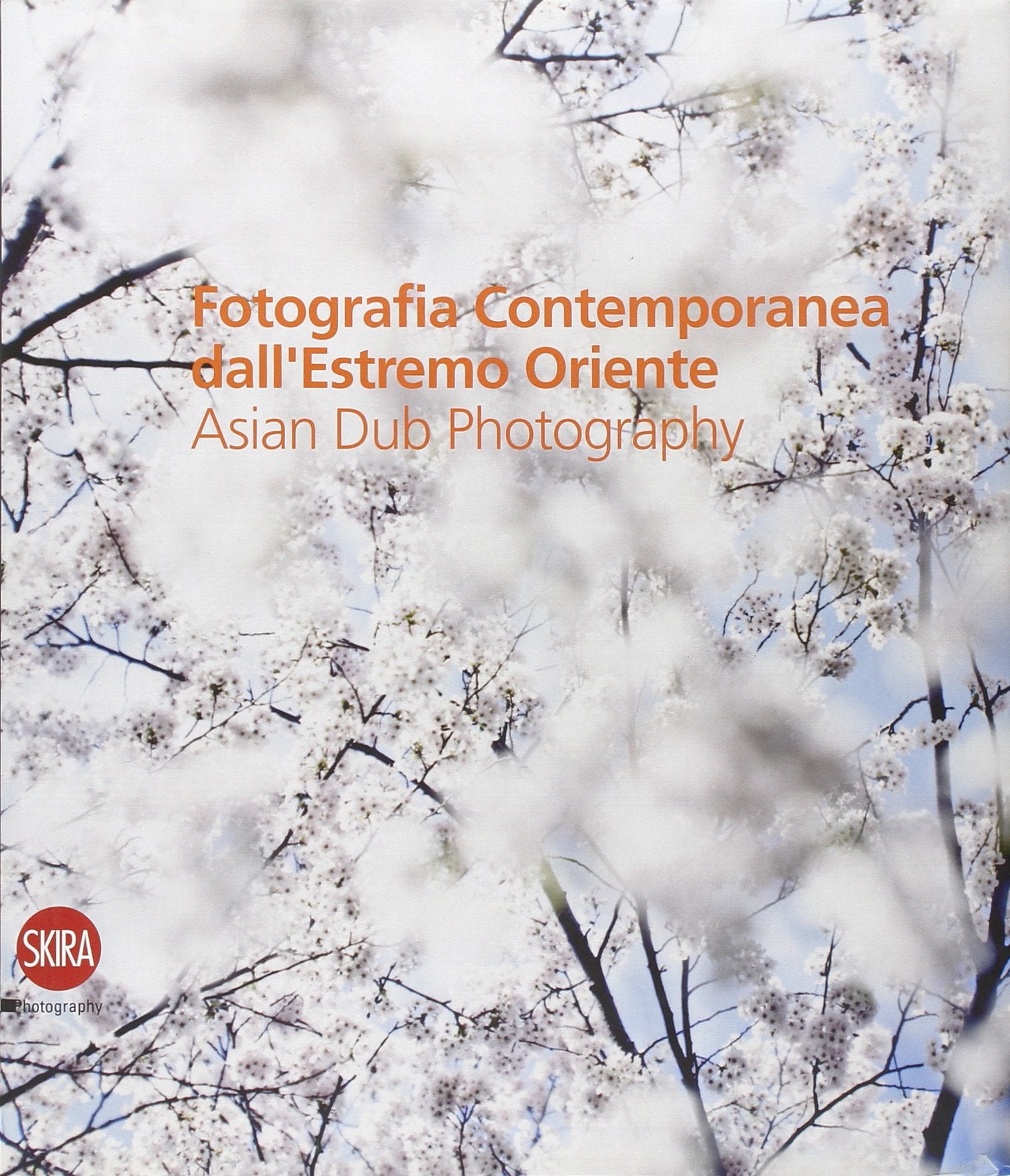 Fotografia contemporanea dell'Estremo Oriente. Asian Dub Photography. Ediz. illustrata book