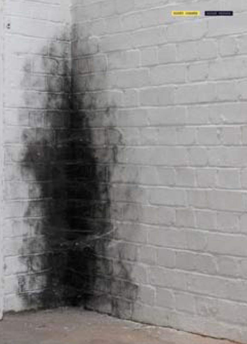 Anish Kapoor Dirty Corner Science