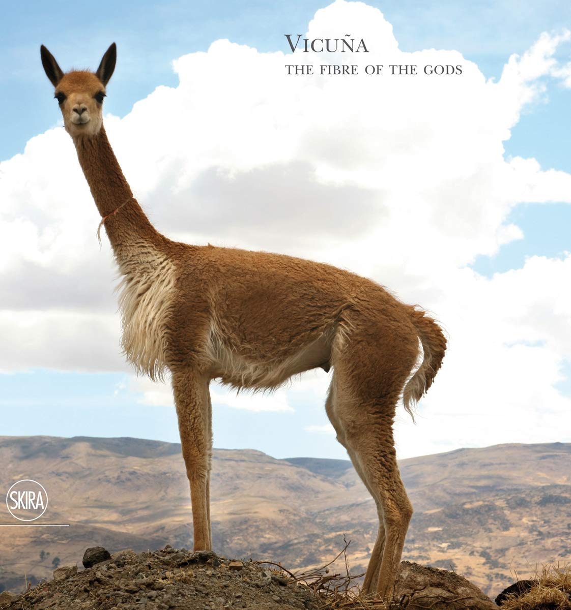 Vicuna. The Queen of the Andes Film, Art & Culture