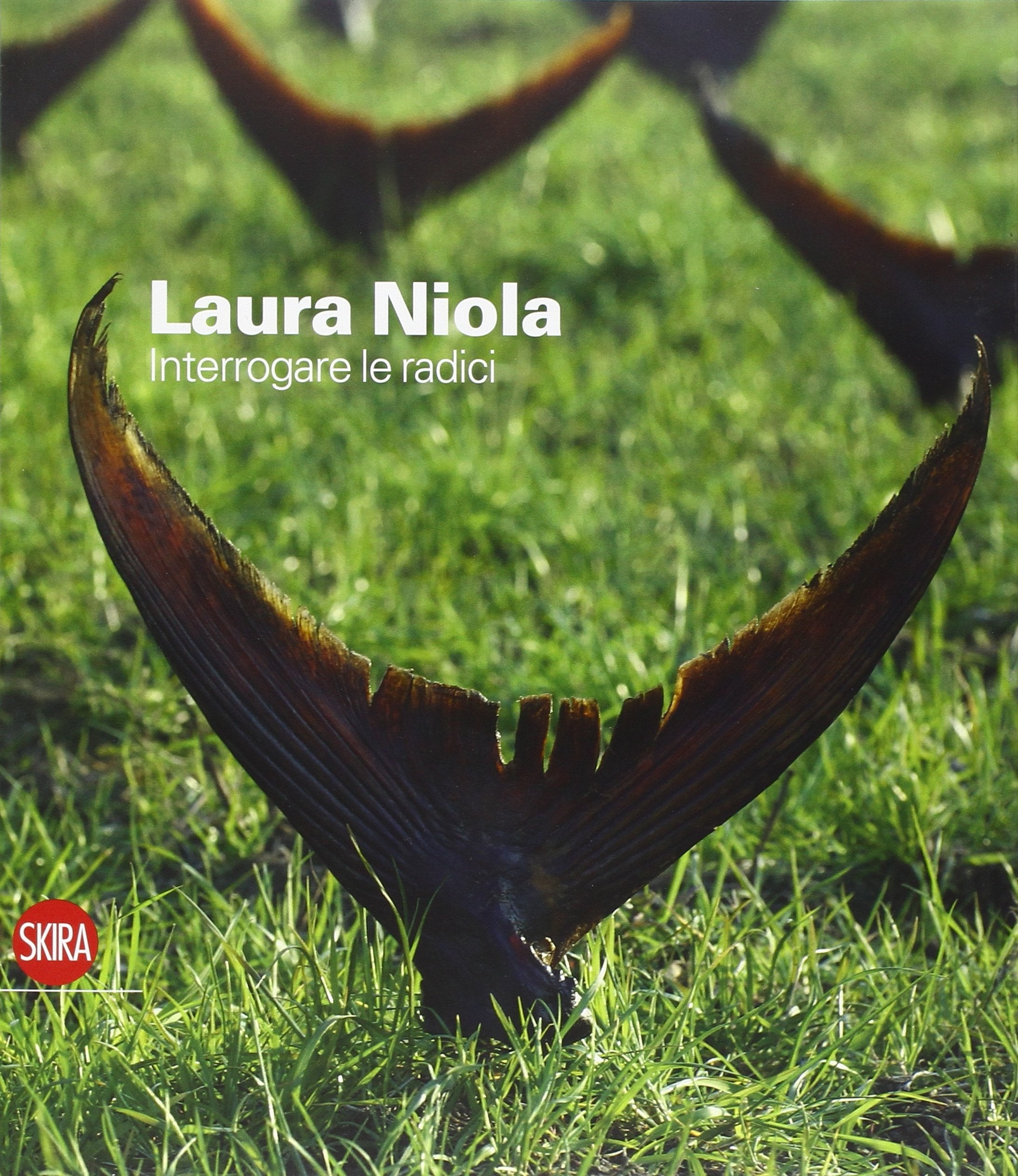 Laura Niola. Ediz. illustrata (Cataloghi) Film, Art & Culture