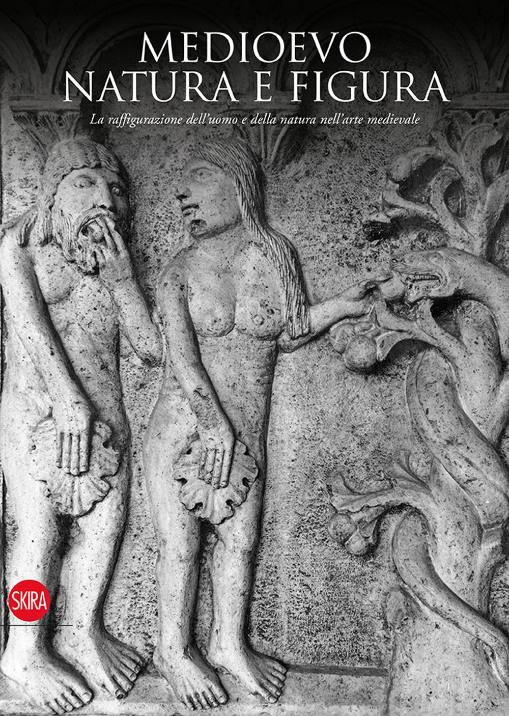Medioevo. Natura e figura. La raffigurazione dell'uomo e della natura nell'arte medievale book