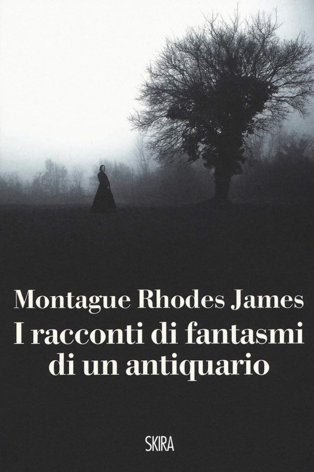 Racconti di fantasmi di un antiquario book