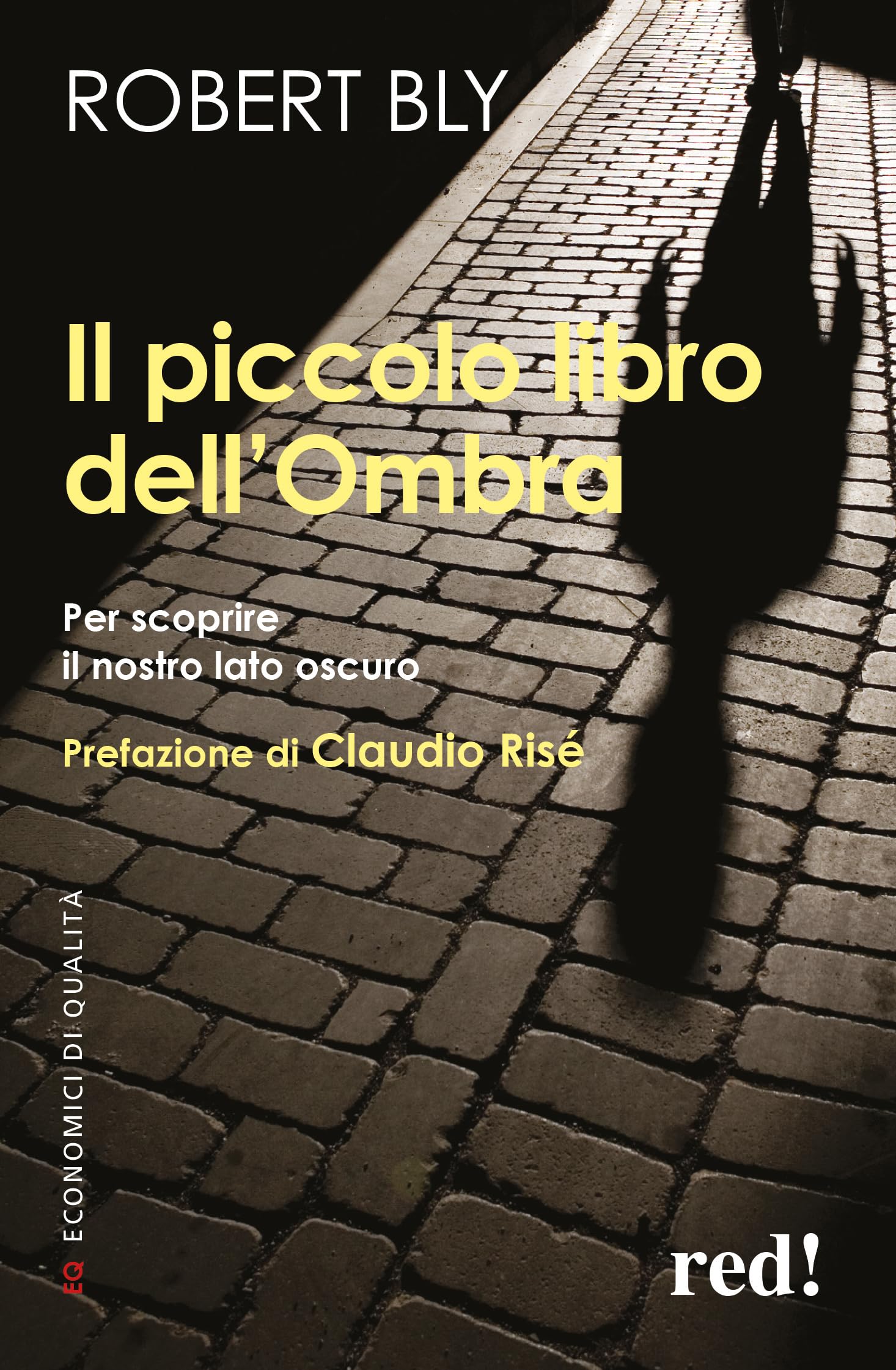 Il piccolo libro dell'ombra. Per scoprire il nostro lato oscuro (Economici di qualità, Band 178) Psychology