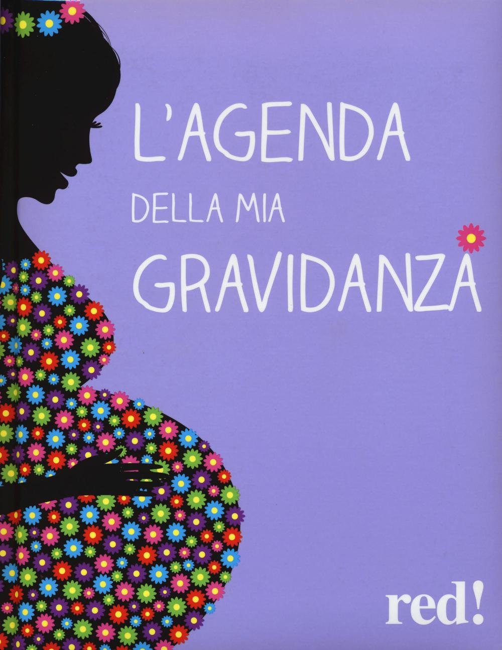 L'agenda della mia gravidanza. Con DVD (Strenne, Band 34) Parents & Children