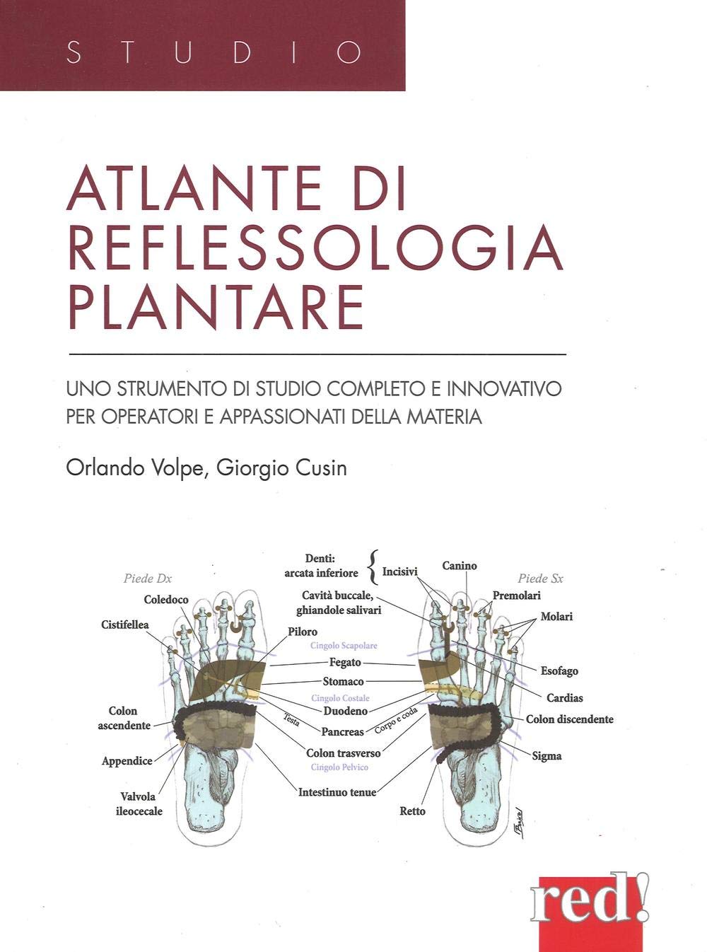 Atlante di reflessologia plantare. Uno strumento di studio completo e innovativo per operatori e appassionati della materia Health, Nutrition & Fitness