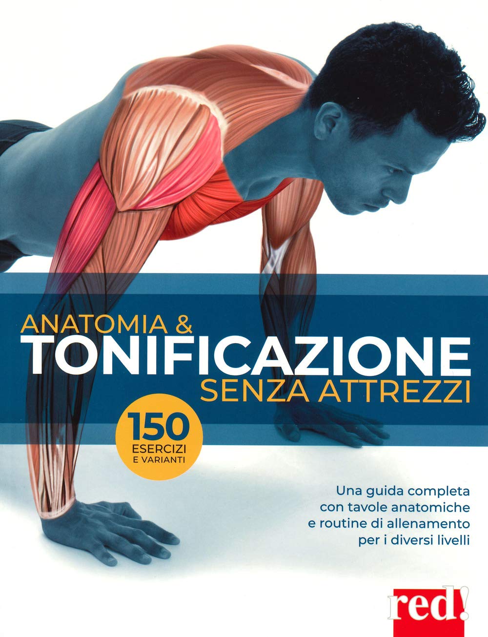 Anatomia & tonificazione senza attrezzi. Ediz. a colori book