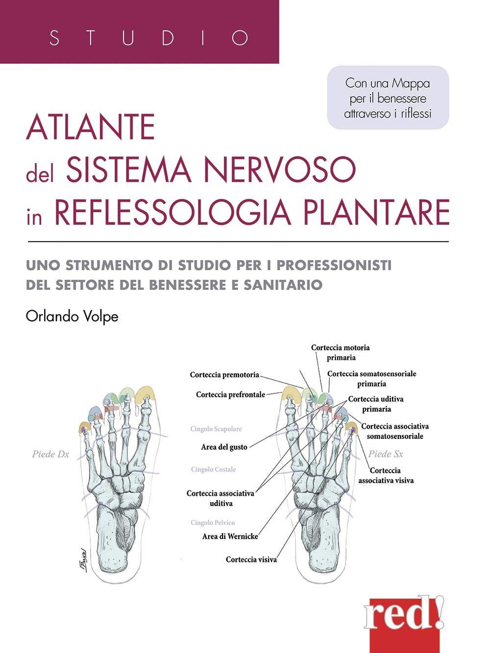 Atlante del sistema nervoso in reflessologia plantare. Uno strumento di studio per professionisti del settore del benessere e sanitario Medicine