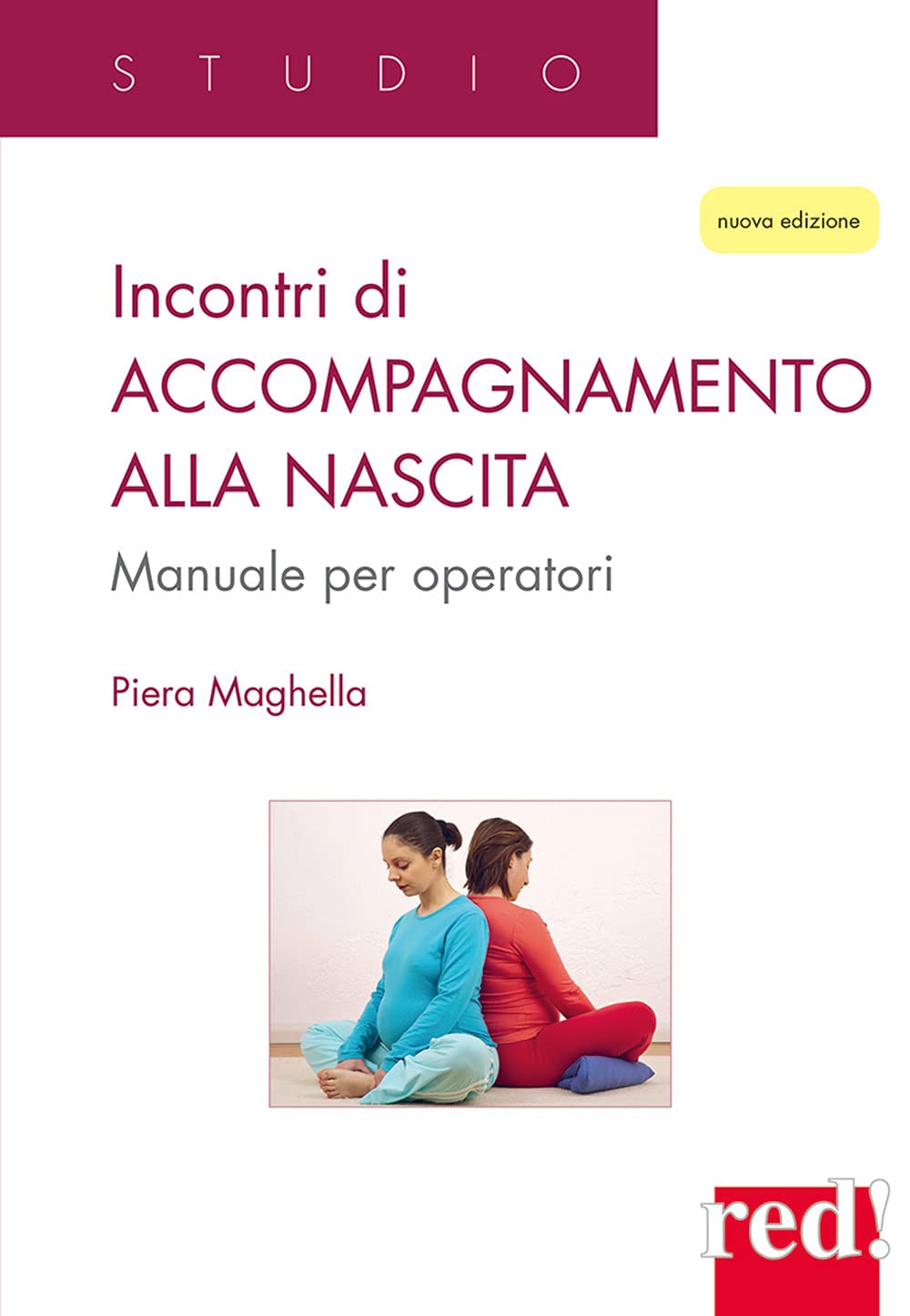Incontri di accompagnamento alla nascita: Manuale per operatori book