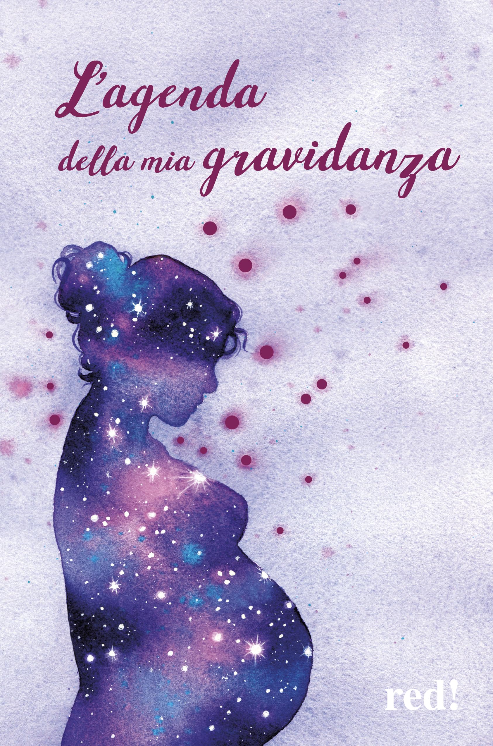 L'agenda della mia gravidanza book