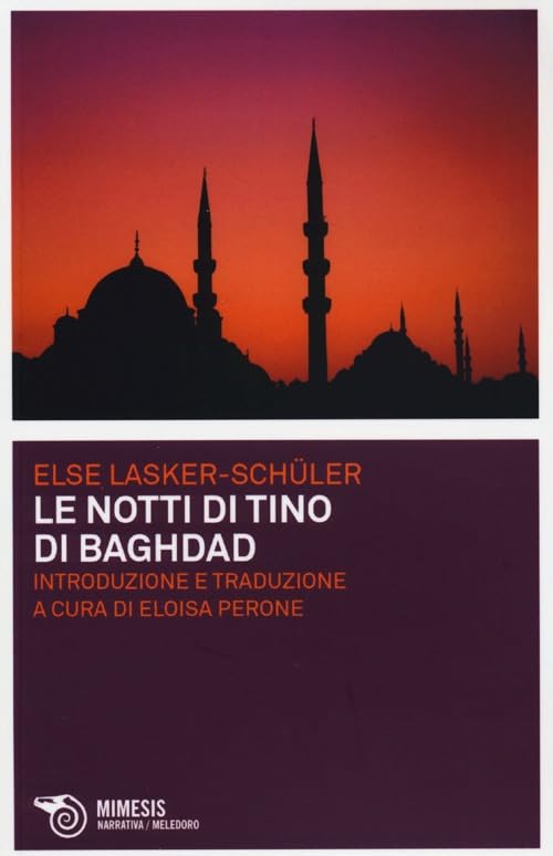 Le notti di Tino di Baghdad book