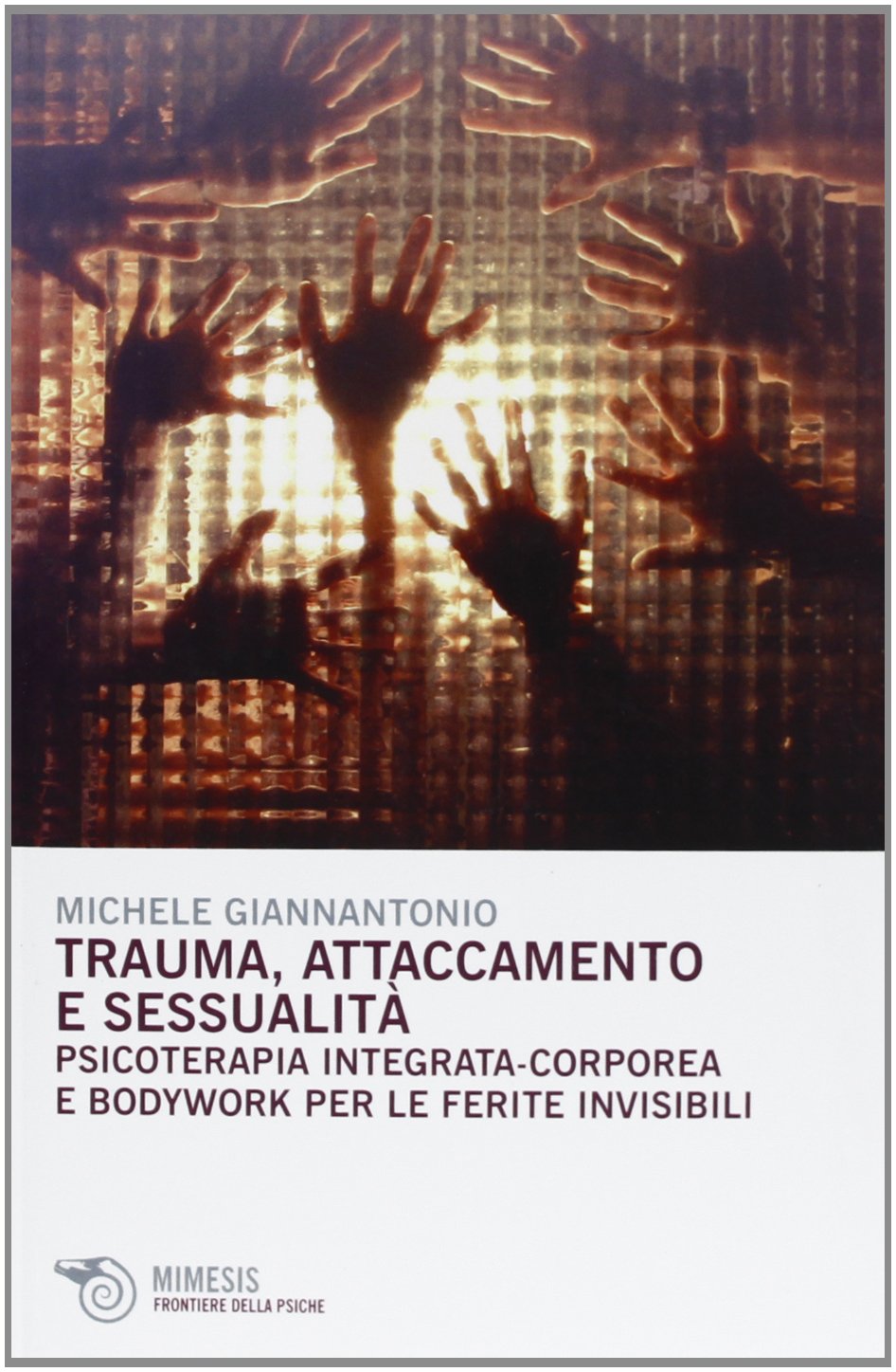 Trauma, attaccamento e sessualità. Psicoterapia integrata-corporea e bodywork per le ferite invisibili Medicine