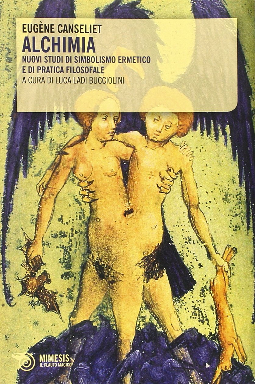 Alchimia. Nuovi studi di simbolismo ermetico e di pratica filosofale book
