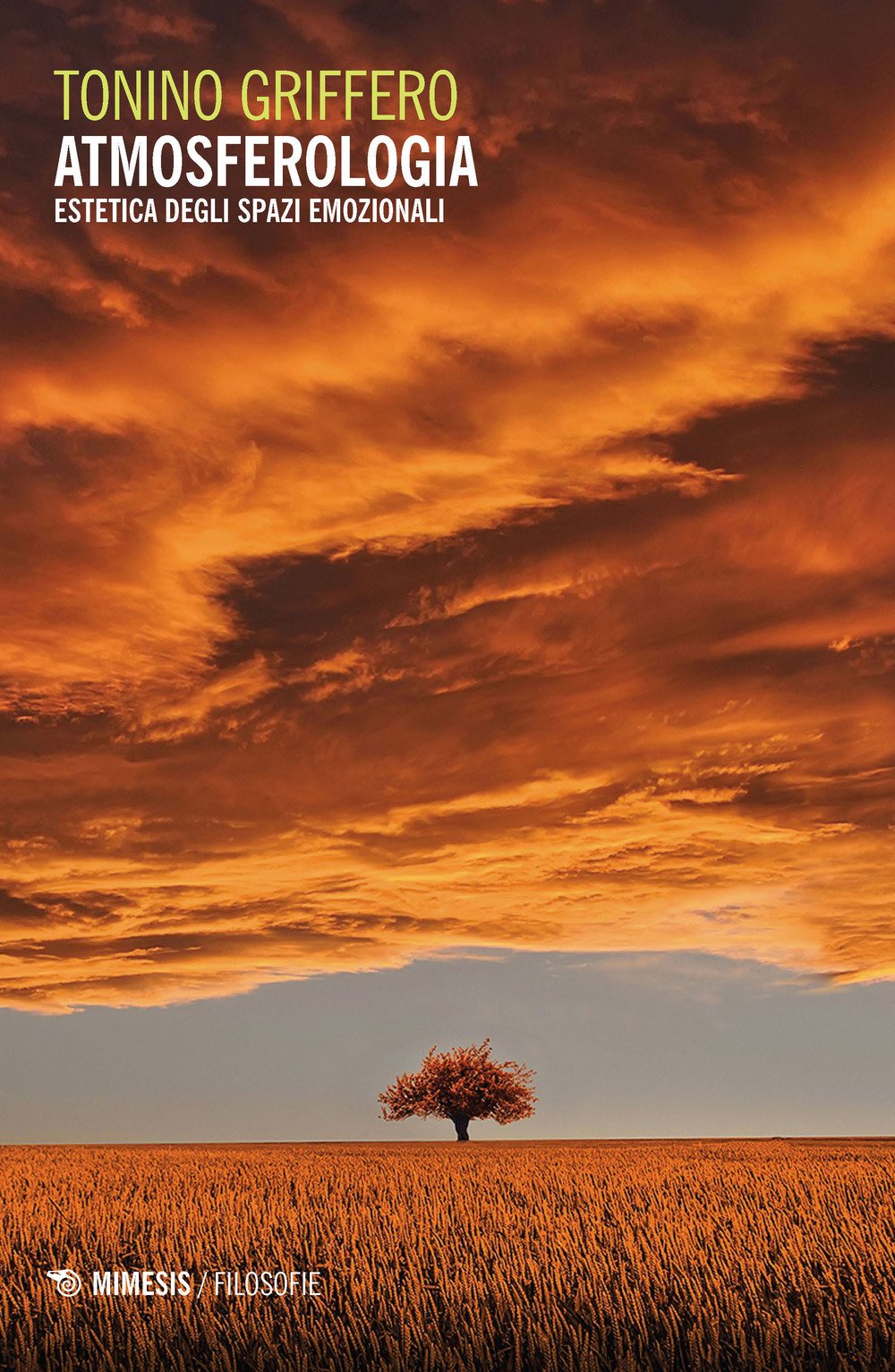 Atmosferologia. Estetica Degli Spazi Emozionali (Filosofie) Philosophy