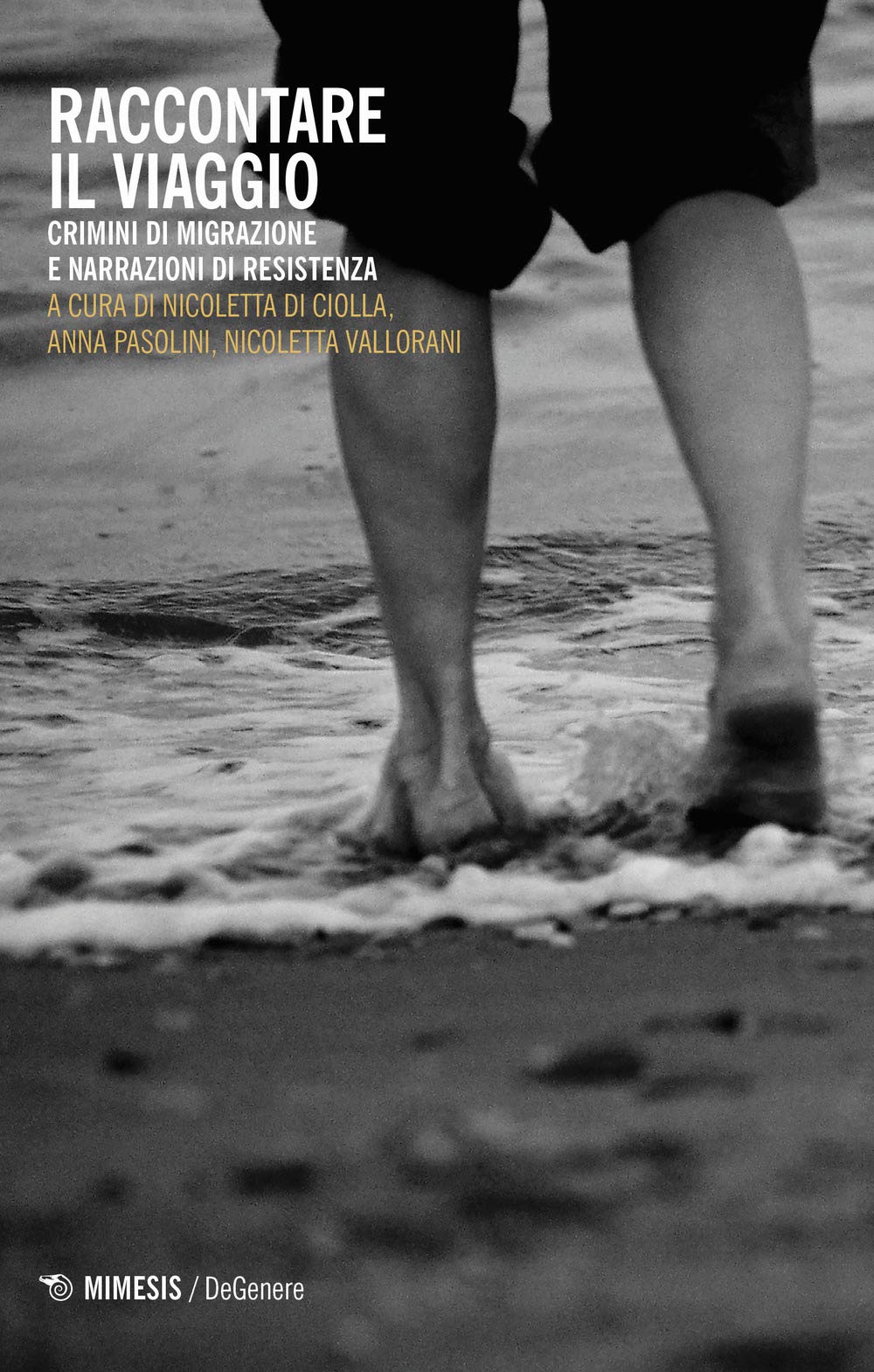 Raccontare il viaggio. Crimini di migrazione e narrazioni di resistenza (DeGenere) Books
