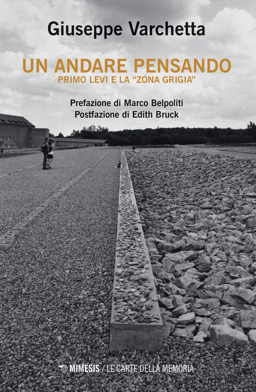 Un andare pensando. Primo Levi e la «zona grigia» book