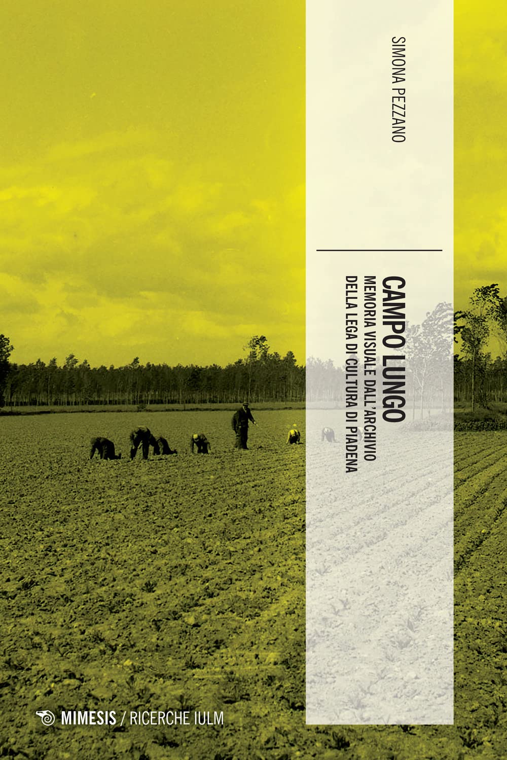 Campo lungo. Memoria visuale dall'archivio della lega di cultura di Piadena (Ricerche IULM. Comunicazione, arti e media) Social Sciences