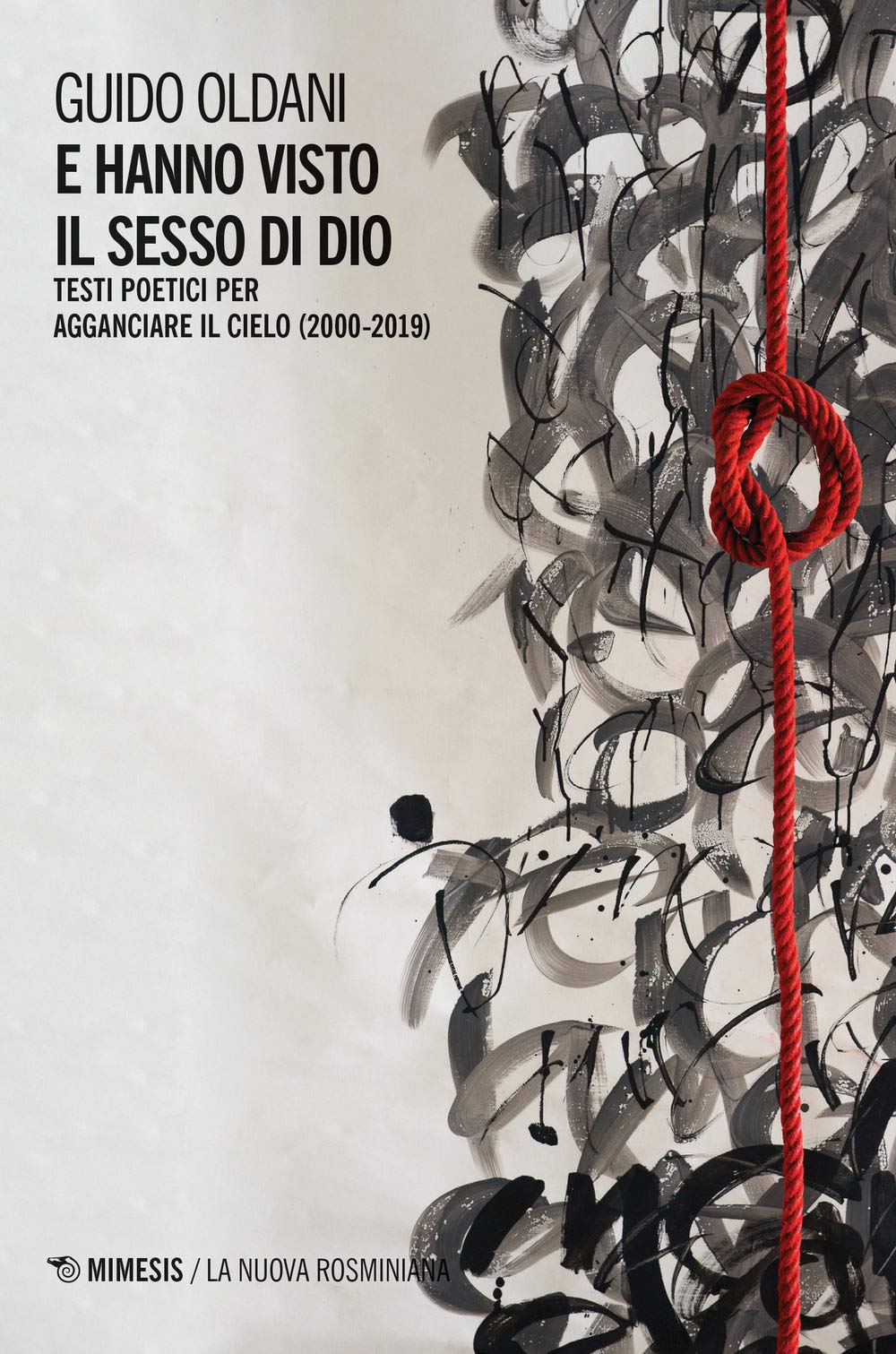 E hanno visto il sesso di Dio. Testi poetici per agganciare il cielo (2000-2019) (La nuova rosminiana) Poetry