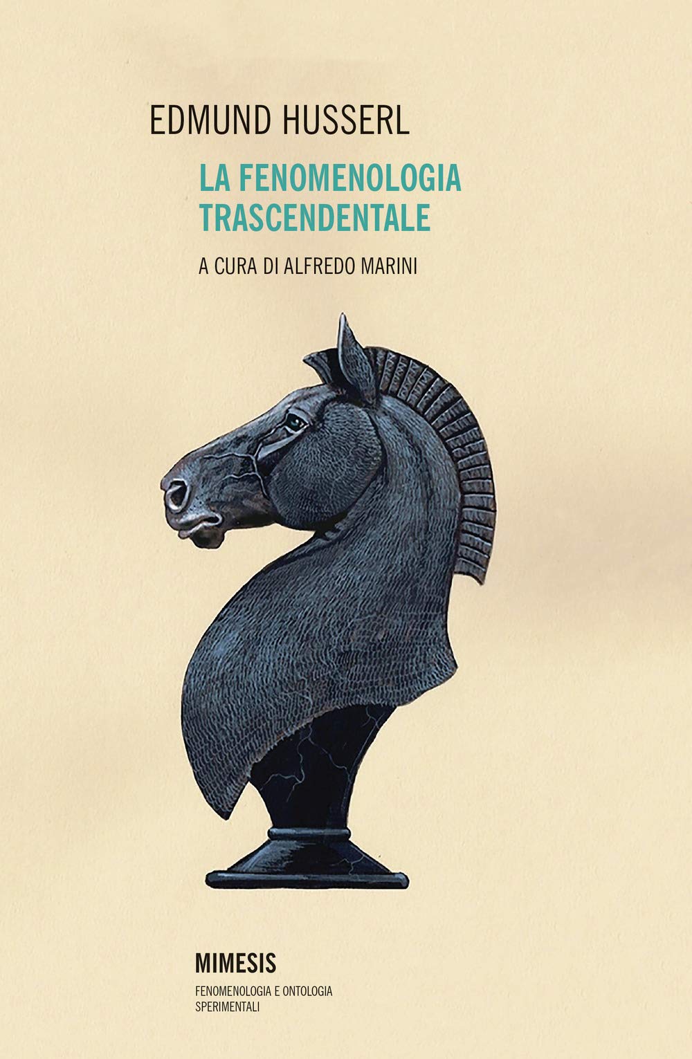 La fenomenologia trascendentale book
