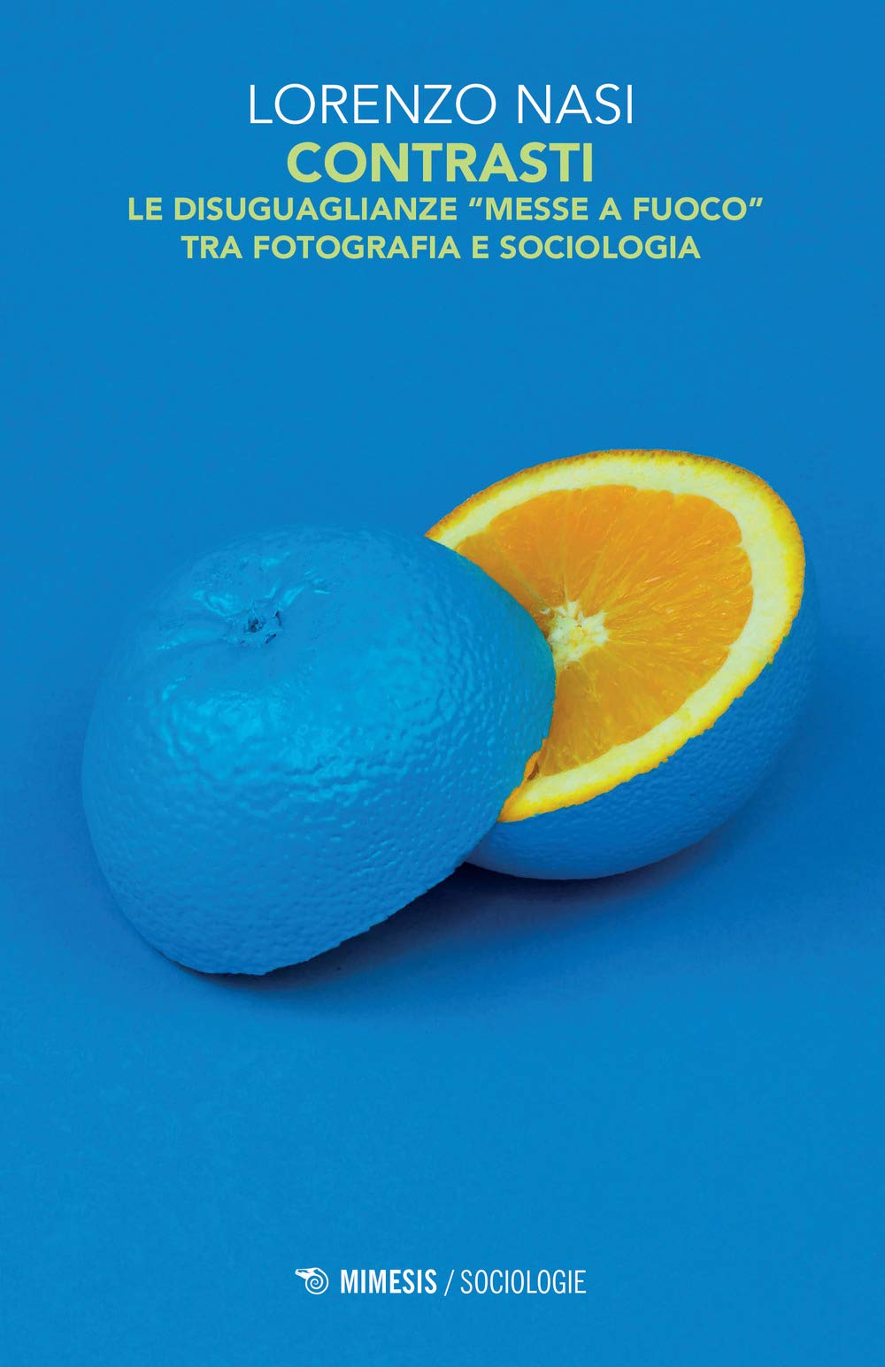 Contrasti. Le disuguaglianze «messe a fuoco» tra fotografia e sociologia. Ediz. illustrata book