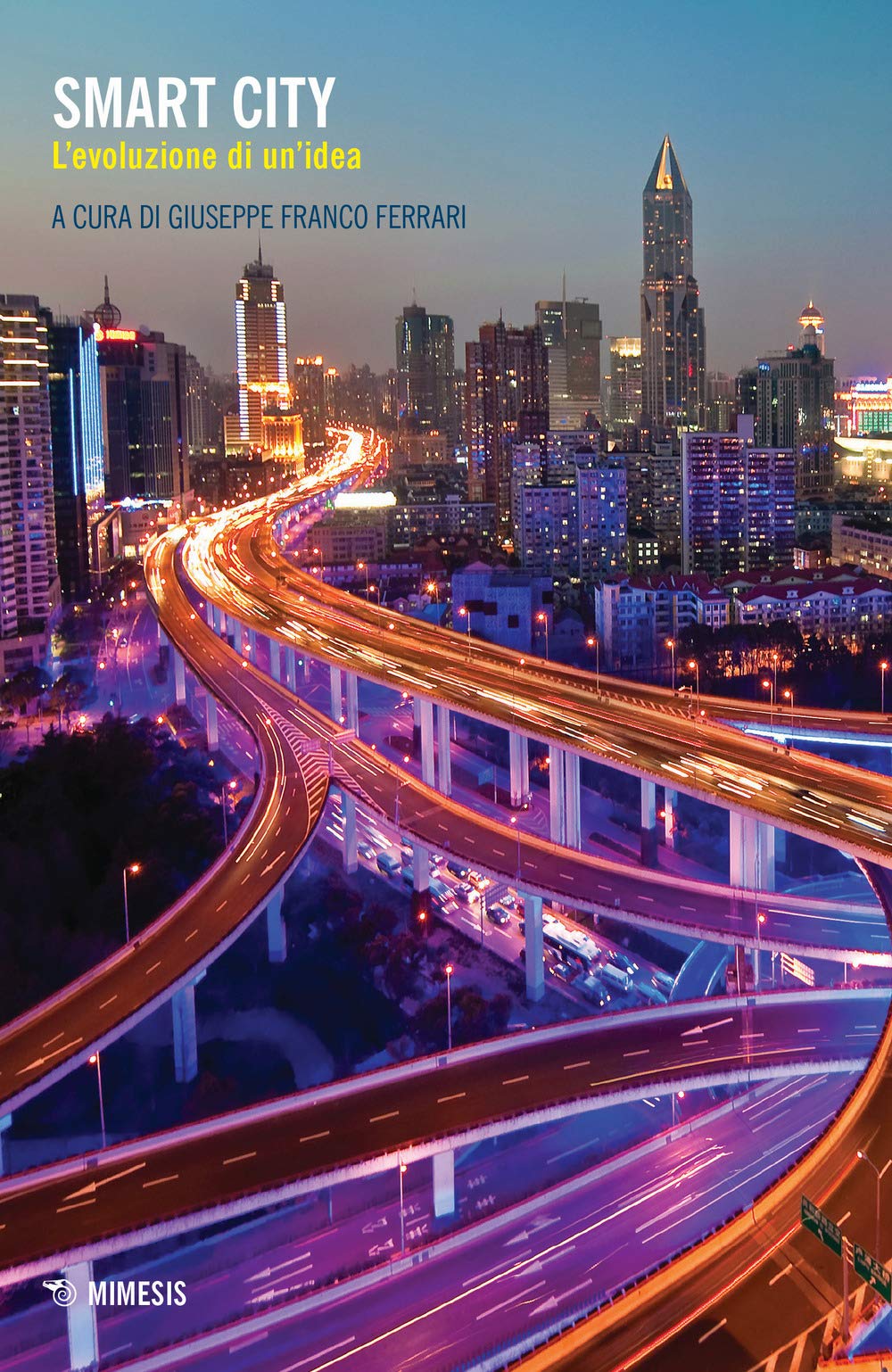 Smart city. L'evoluzione di un'idea book