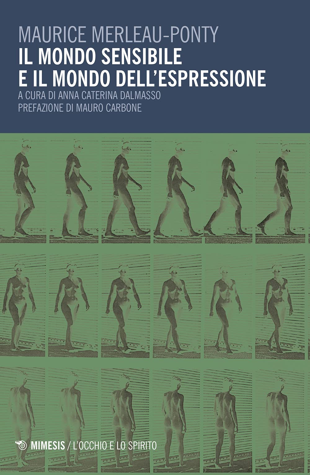 Il mondo sensibile e il mondo dell'espressione book