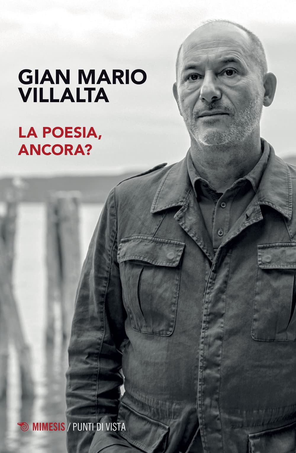 La poesia, ancora? (Punti di vista) Contemporary literature