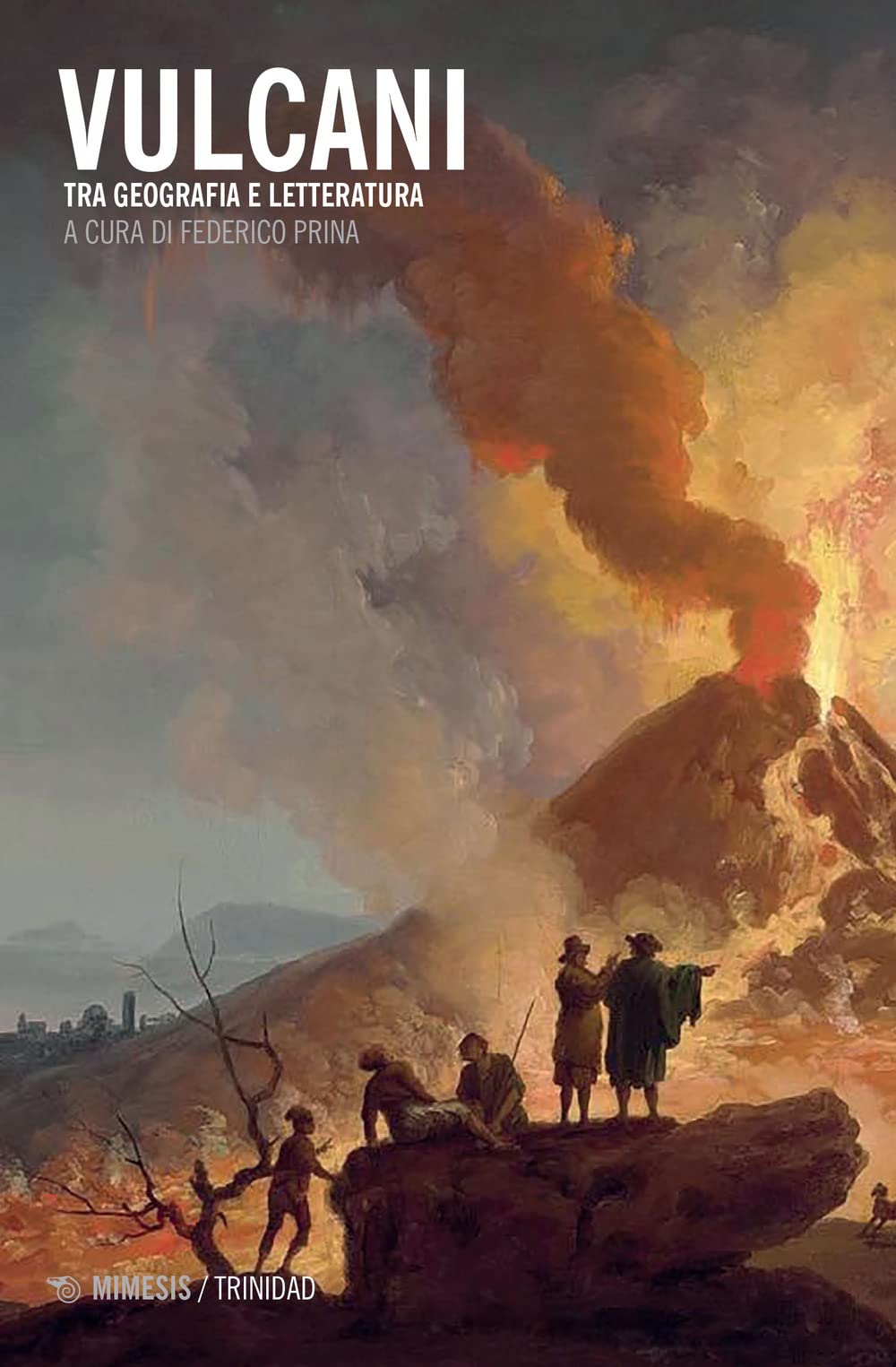 Vulcani. Tra geografia e letteratura book