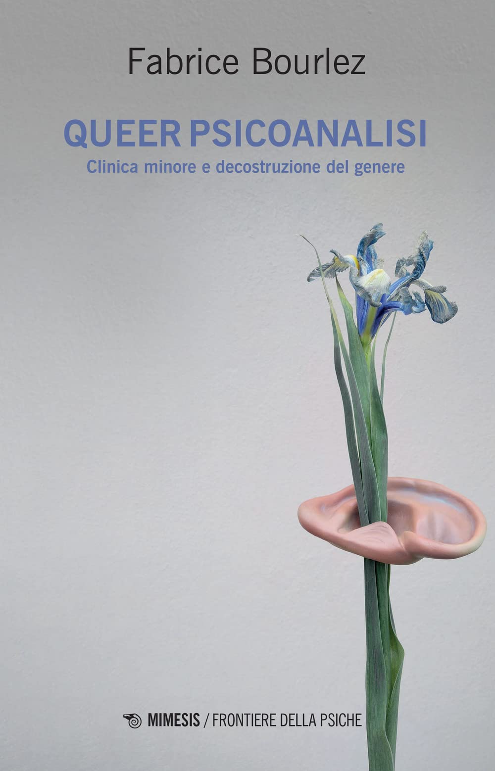 Queer psicoanalisi. Clinica minore e decostruzione del genere book
