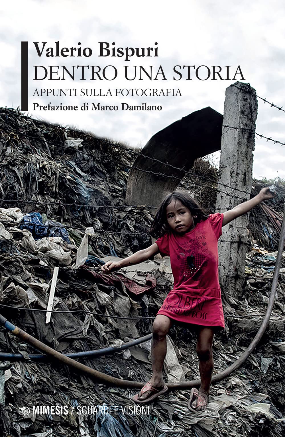 Dentro una storia. Appunti sulla fotografia (Sguardi e visioni) Art & Literature