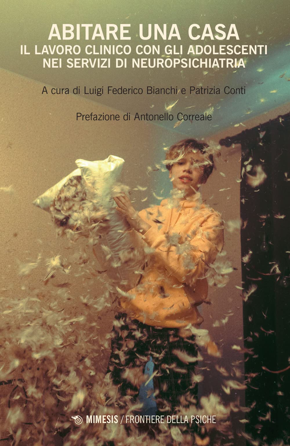 Abitare una casa. Il lavoro clinico con gli adolescenti nei servizi di neuropsichiatria book