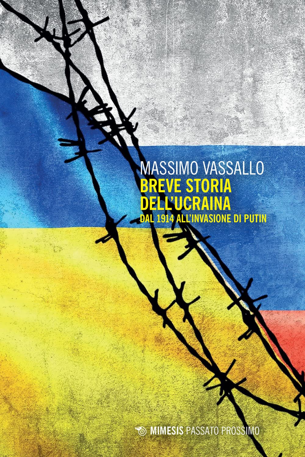 Breve storia dell'Ucraina. Dal 1914 all'invasione di Putin book