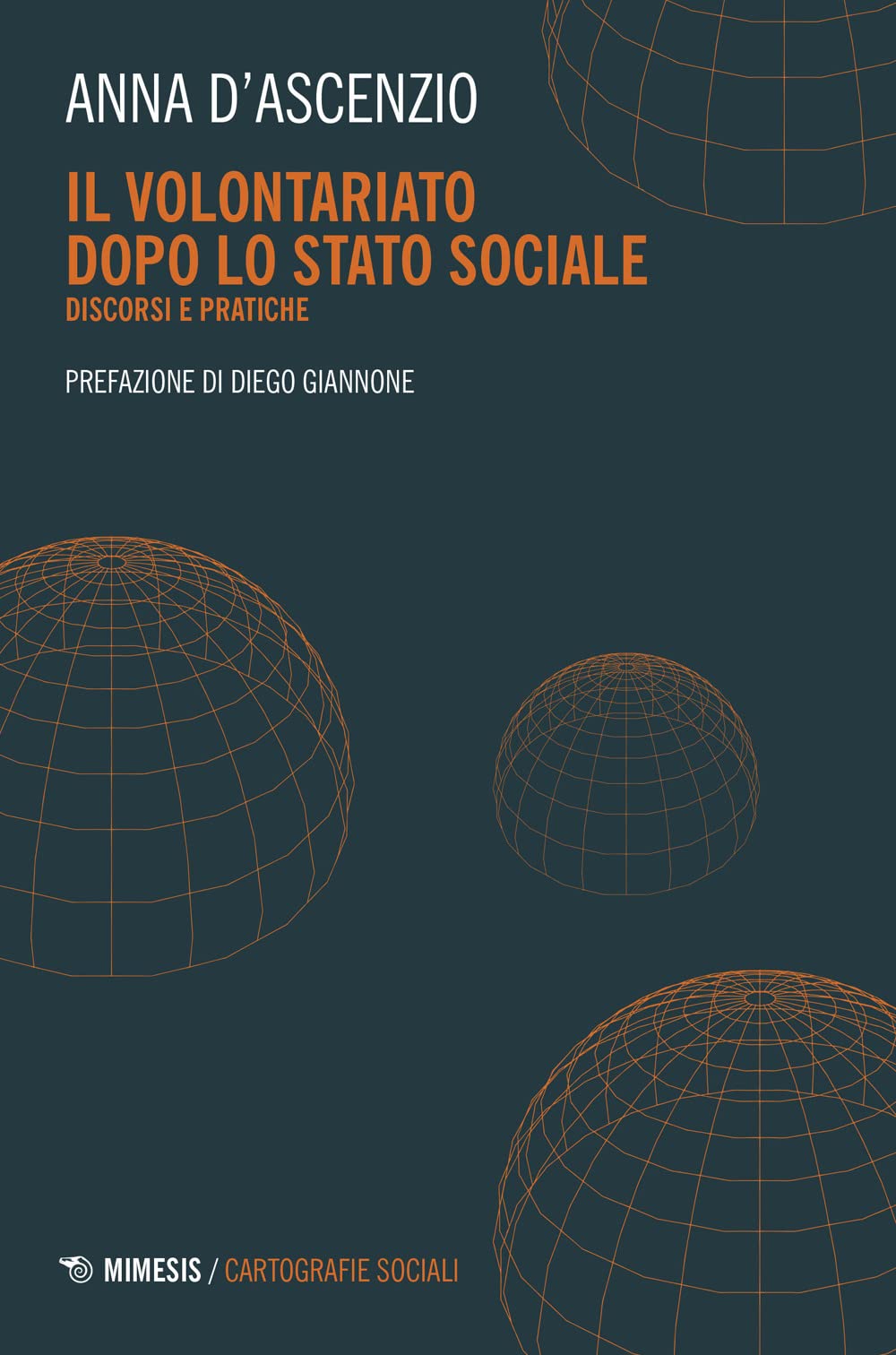 Il volontariato dopo lo stato sociale. Discordi e pratiche book