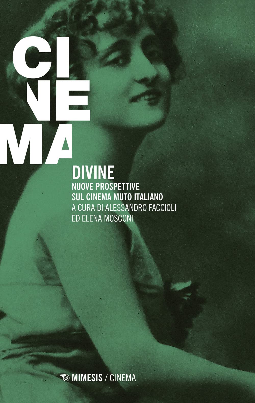 Divine. Nuove prospettive sul cinema muto italiano book