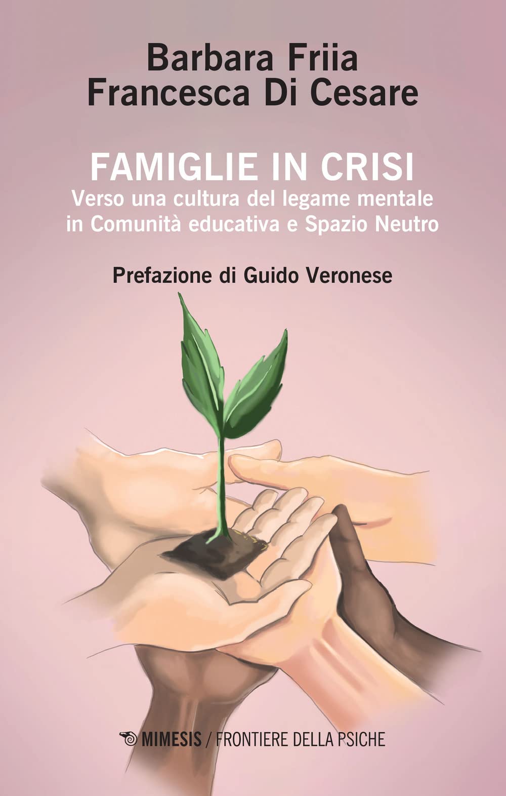 Famiglie in crisi. Verso una cultura del legame mentale in comunità educativa e spazio neutro book