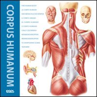 Corpus humanum. Ediz. italiana, inglese, francese, spagnola e tedesca Medicine