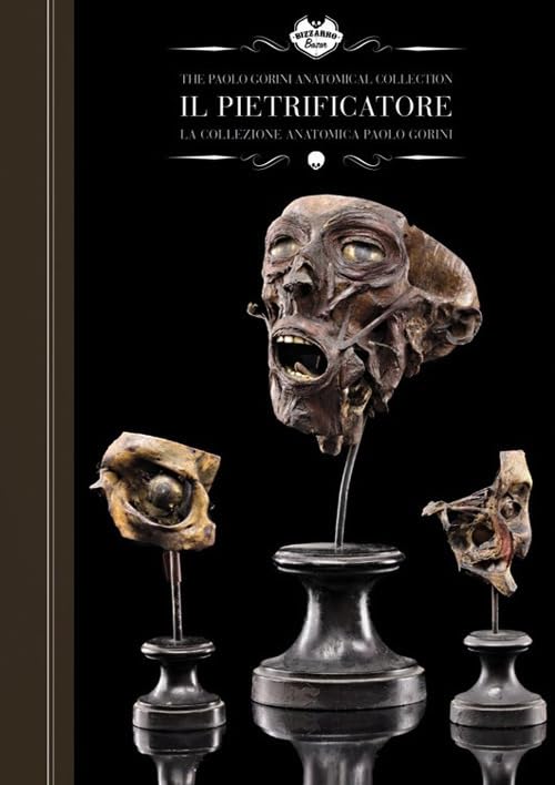 Il pietrificatore. La collezione anatomica «Paolo Gorini». Ediz. italiana e inglese Medicine