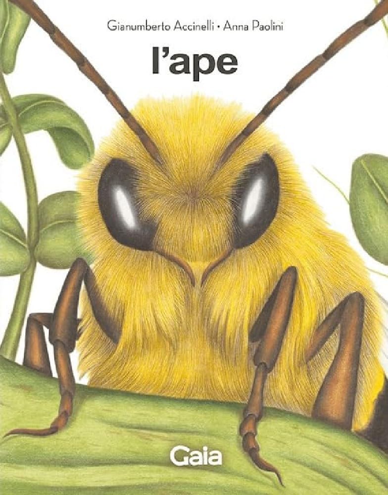 L'ape e il fantasma dell'alveare. Ediz. a colori book