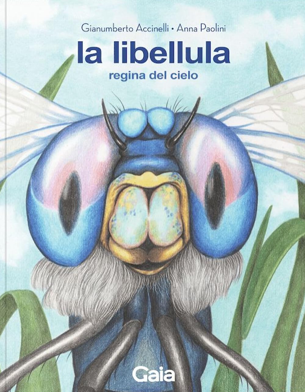 La libellula. Regina del cielo. Ediz. a colori book