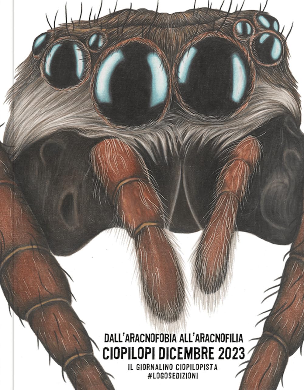 Ciopilopi. Dicembre 2023. Dall'aracnofobia all'aracnofilia book