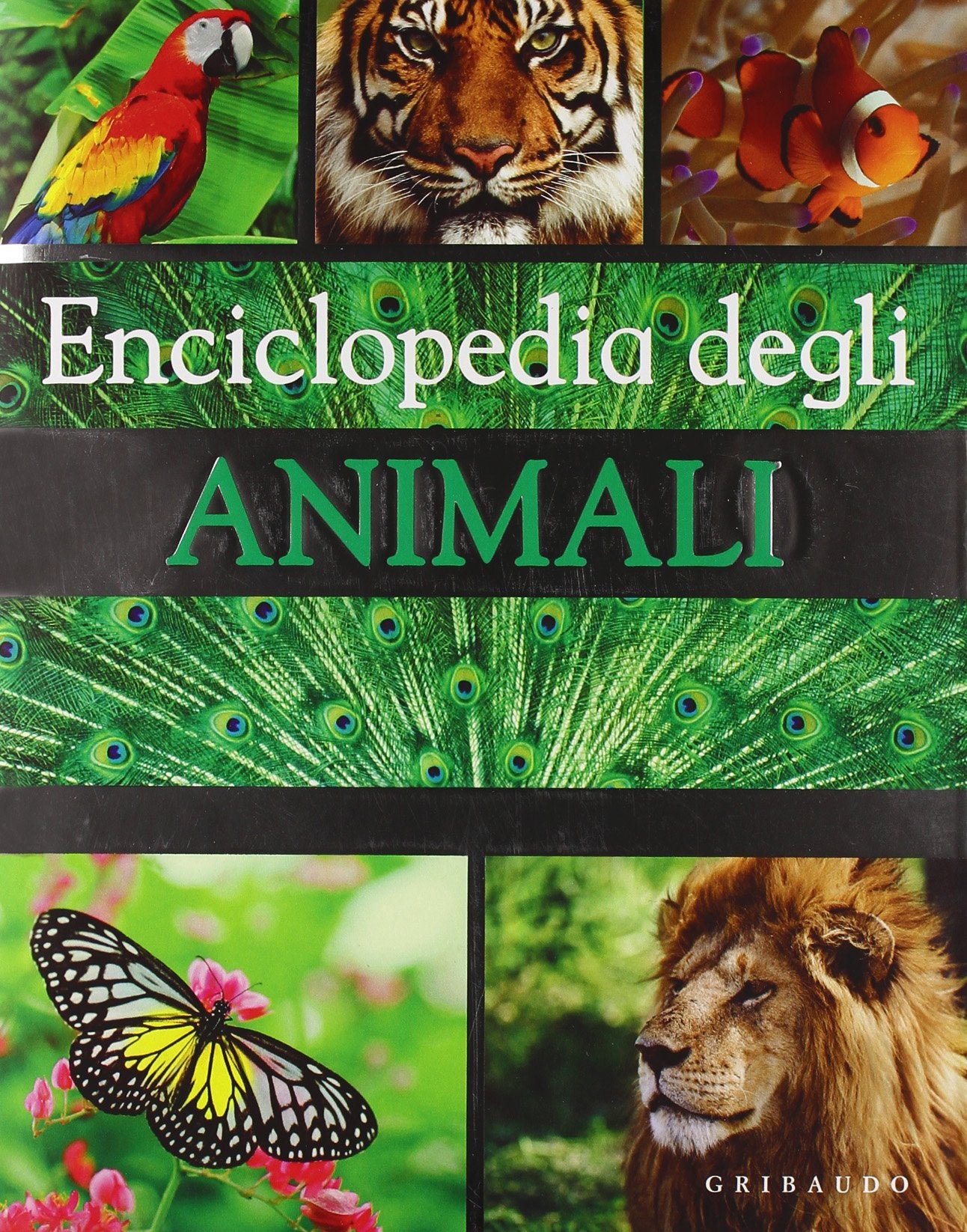 Enciclopedia degli animali (Grandi enciclopedie) Non-fiction