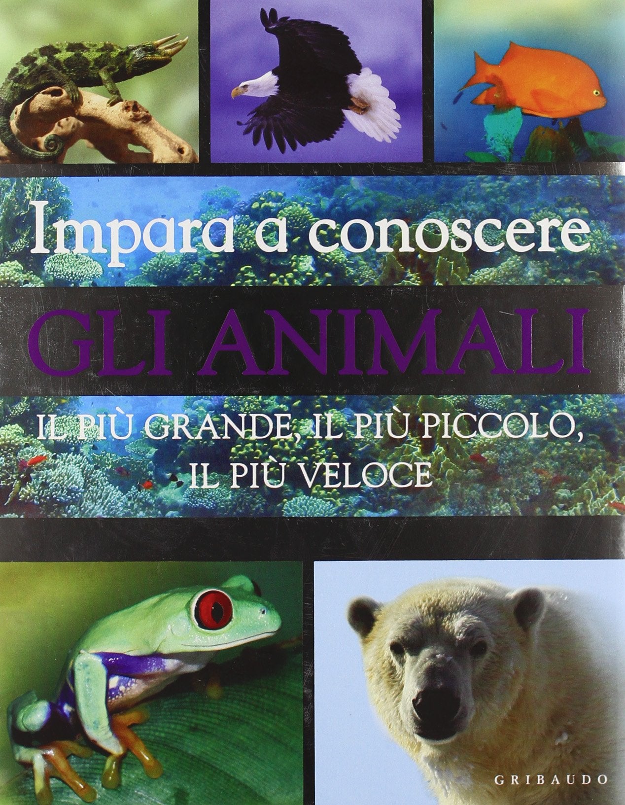 Impara a conoscere gli animali. Il più grande, il più piccolo, il più veloce (Grandi enciclopedie) Non-fiction