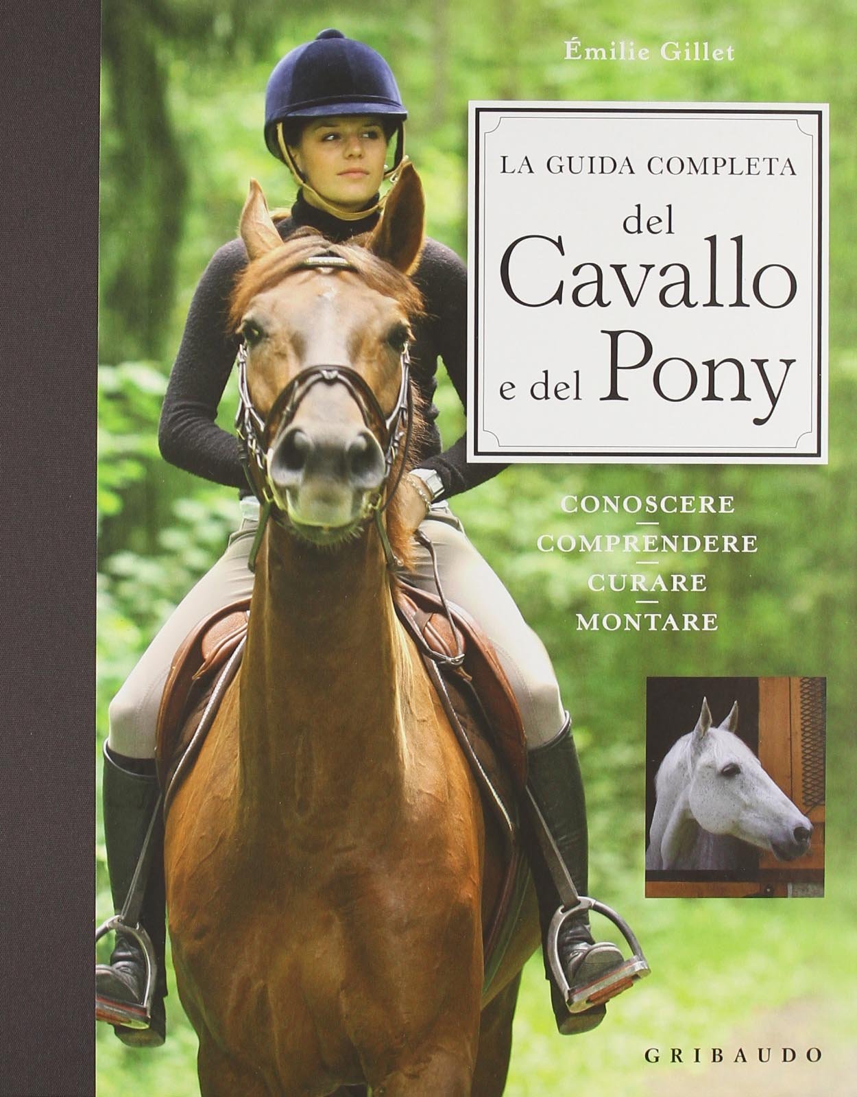 La guida completa del cavallo e del pony. Conoscere, comprendere, curare, montare Pets