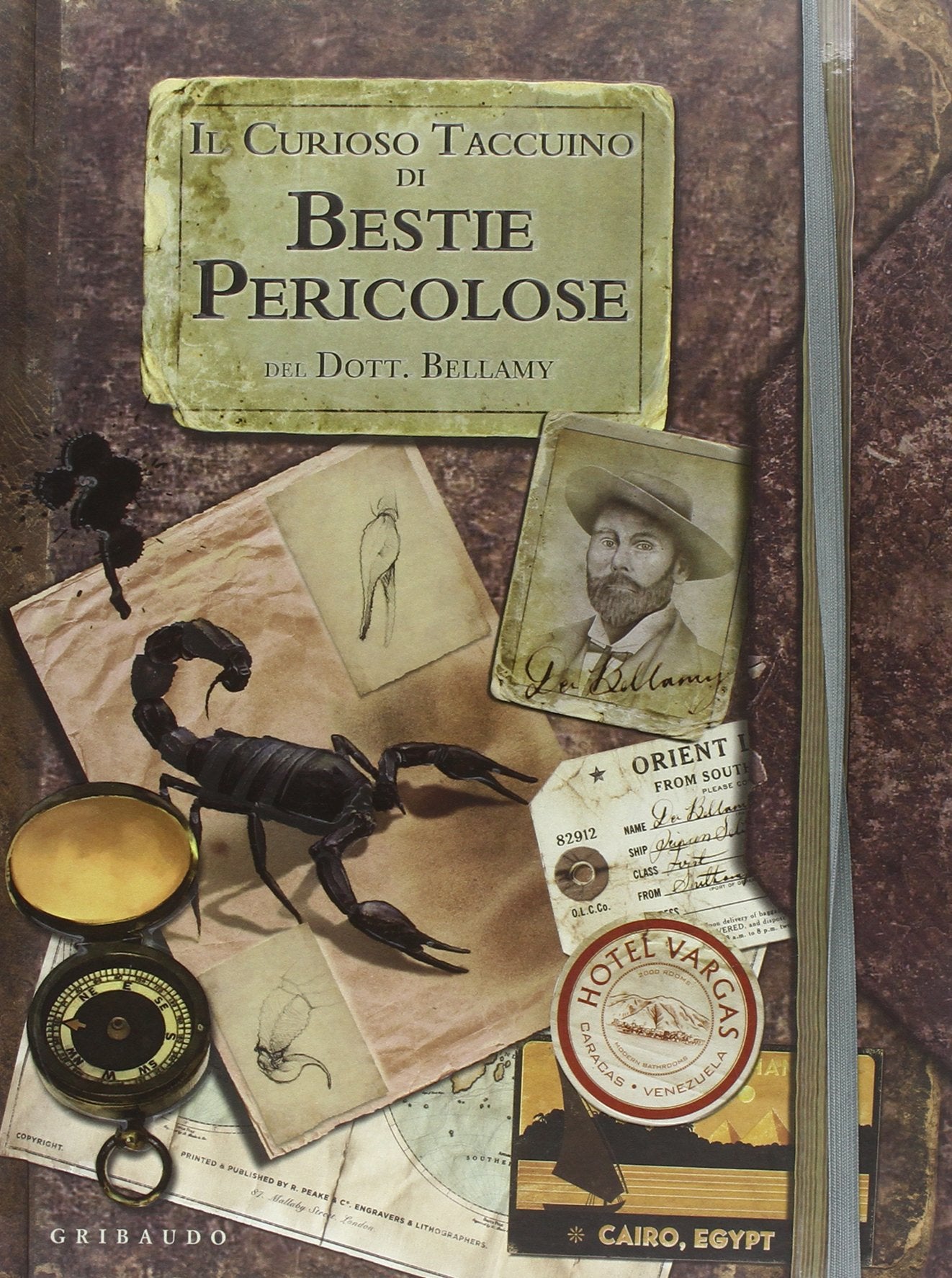 Il curioso taccuino di bestie pericolose del dott. Bellamy. Ediz. illustrata book